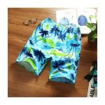 Multi Colored men's swim Shorts high quality material ERT-100