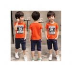 Baby boy set (shorts and T-shirt) from the age of 8 years to 9 Years