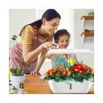 ⁦صندوق زراعة ذكي  للفواكه والخضروات مع مصباح نمو بدون تربة /  SC-202201⁩ - الصورة ⁦3⁩