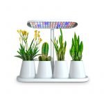 دليل لسرعة نمو النبات مزود بمصابيح ليد  / Z900