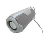 Portable Wireless Speaker  LED Flashing Light ( USB + Card/TF Card / Wireless/FM ) A006